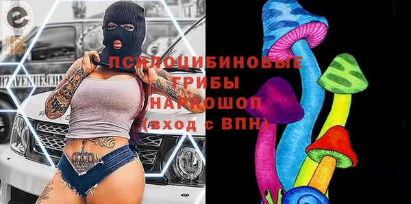 винт Богданович